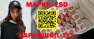 гидропоника Кингисепп