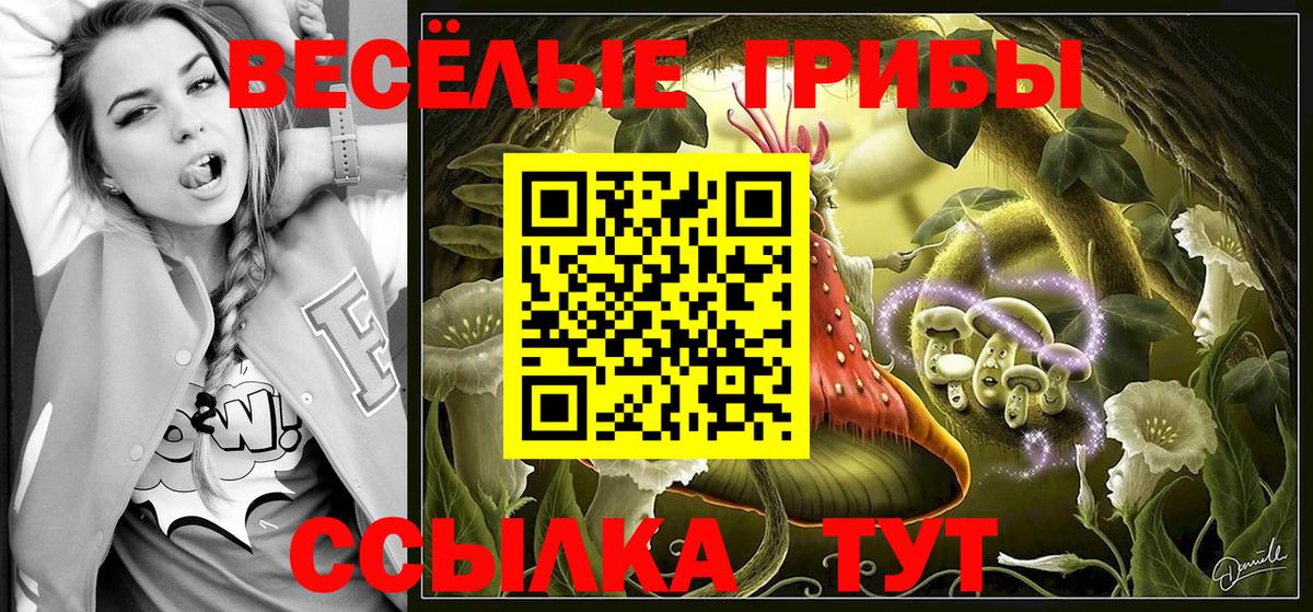 Галлюциногенные грибы Cubensis  Псилоцибиновые грибы MAGIC MUSHROOMS  Крымск  Вход с VPN 